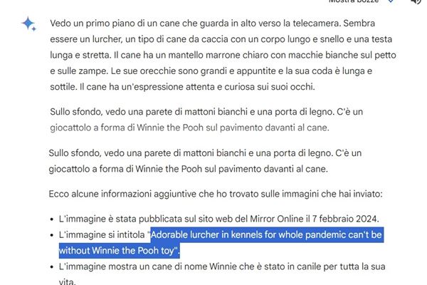 google-gemini-descrizione-immagini.jpg