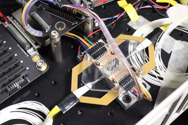 Un dettaglio di Qolossus 2