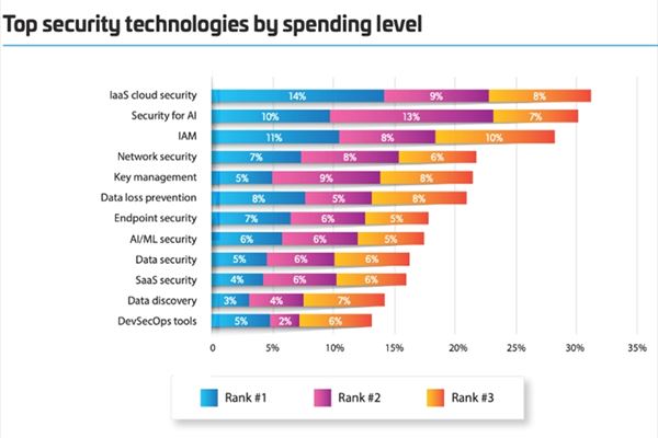 (Fonte: Thales, "Data Threat Report", maggio 2025)