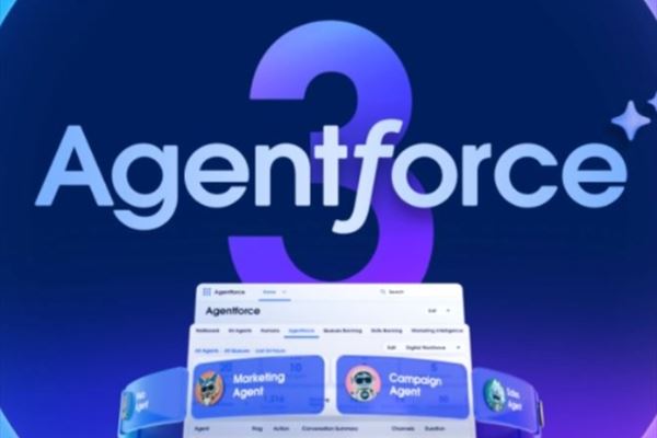 (Immagine: Salesforce)